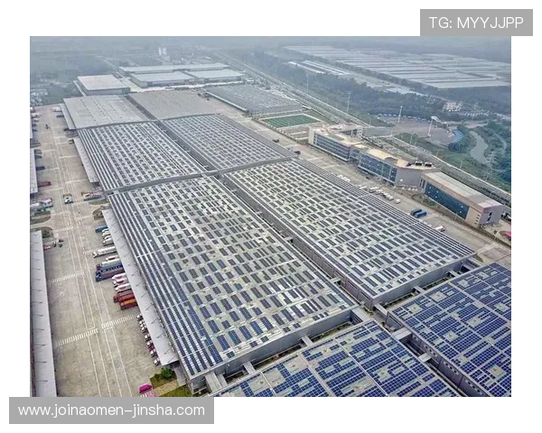 金沙公司在社会责任方面的投入与公益项目成果展示 金沙公司在社会责任方面的投入与公益项目成果展示